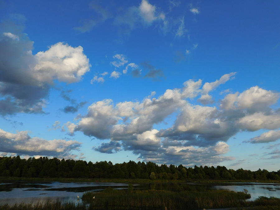 Blue Sky Ohio Landscape Photograph
