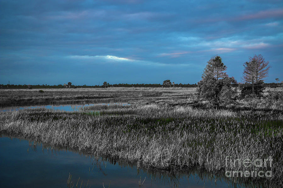 Blue Sky Over the Marsh Photograph by Tom Claud