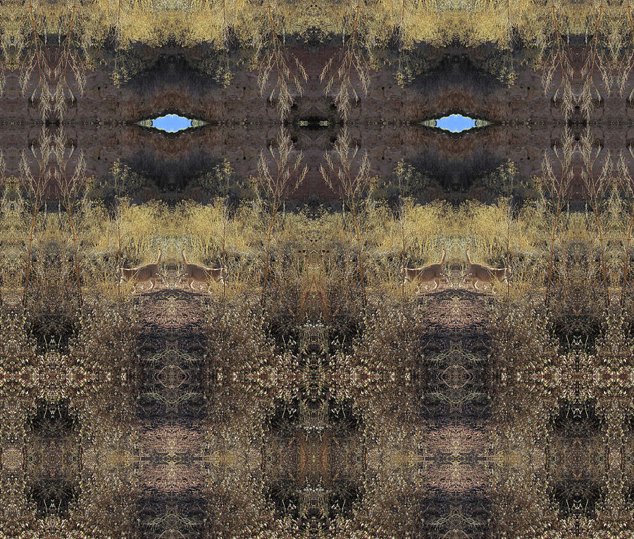 Blue Sky Portal Above Cats In Golden Weeds Digital Art by Julia L Wright