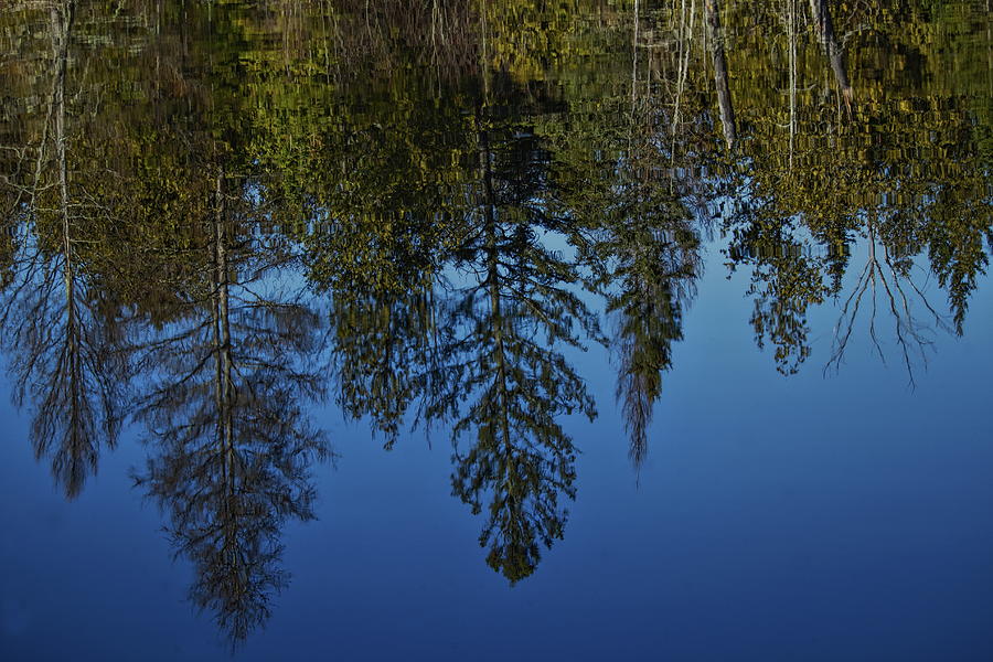 Blue Sky Reflection Photograph by Dale Kauzlaric