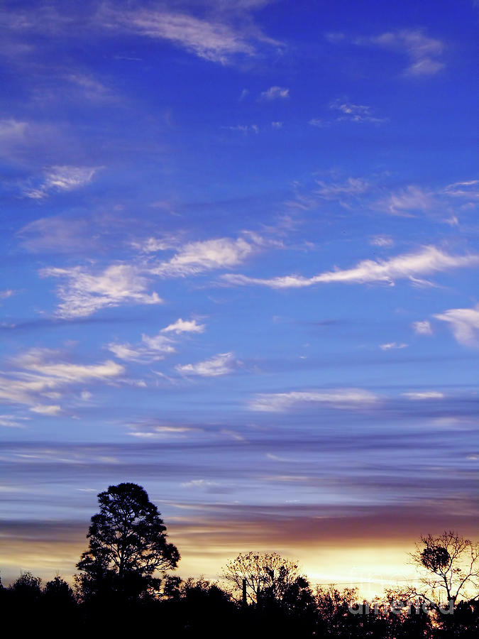 Blue Sky Sunrise Photograph By D Hackett