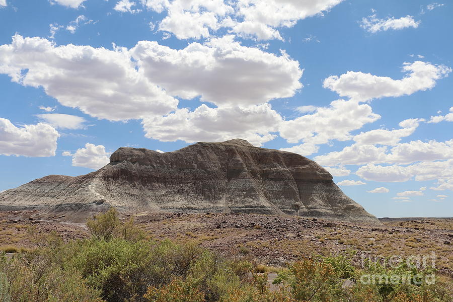 Blue Sky White Clouds Over The Painted Desert Photograph by Christiane Schulze Art And Photography