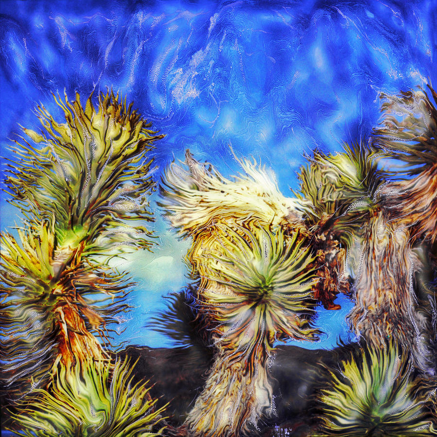 Tokarski Photograph - Blue Sky Yucca by Paul Tokarski