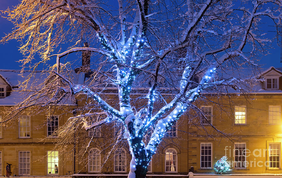 Winter Photograph - Blue Snow Light by Tim Gainey