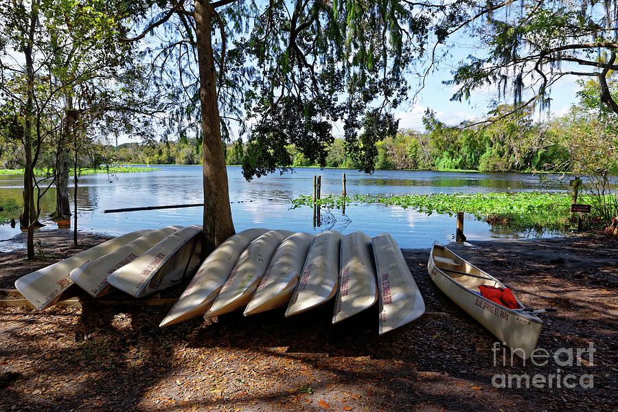 Blue Spring Canoes Photograph by Paul Mashburn