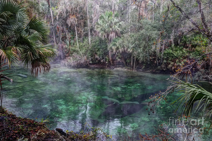 Nature Photograph - Blue Springs by Rick Mann