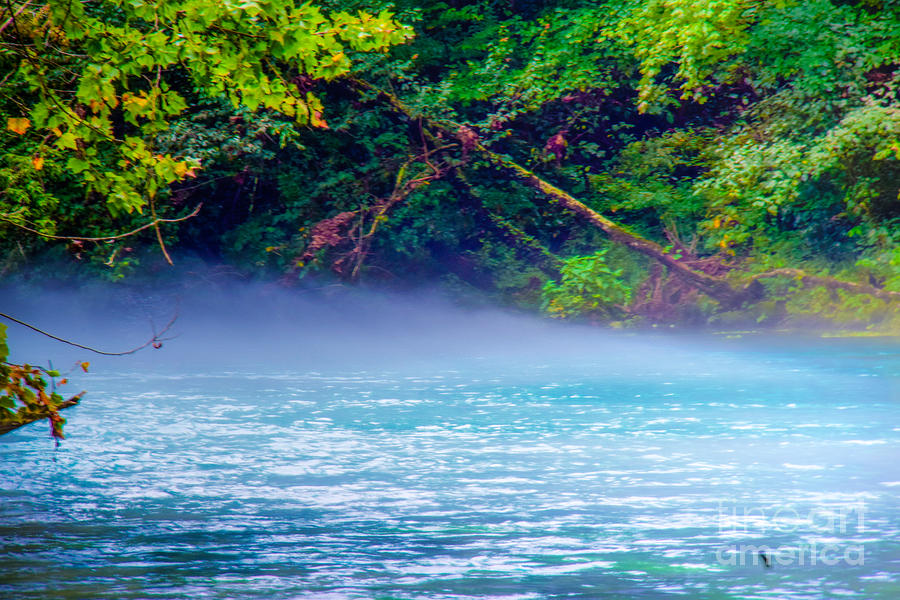 Blue Springs River Mist Photograph by Peggy Franz