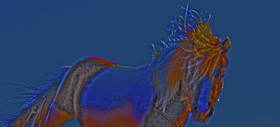 Blue Stallion Photograph by Amanda Smith
