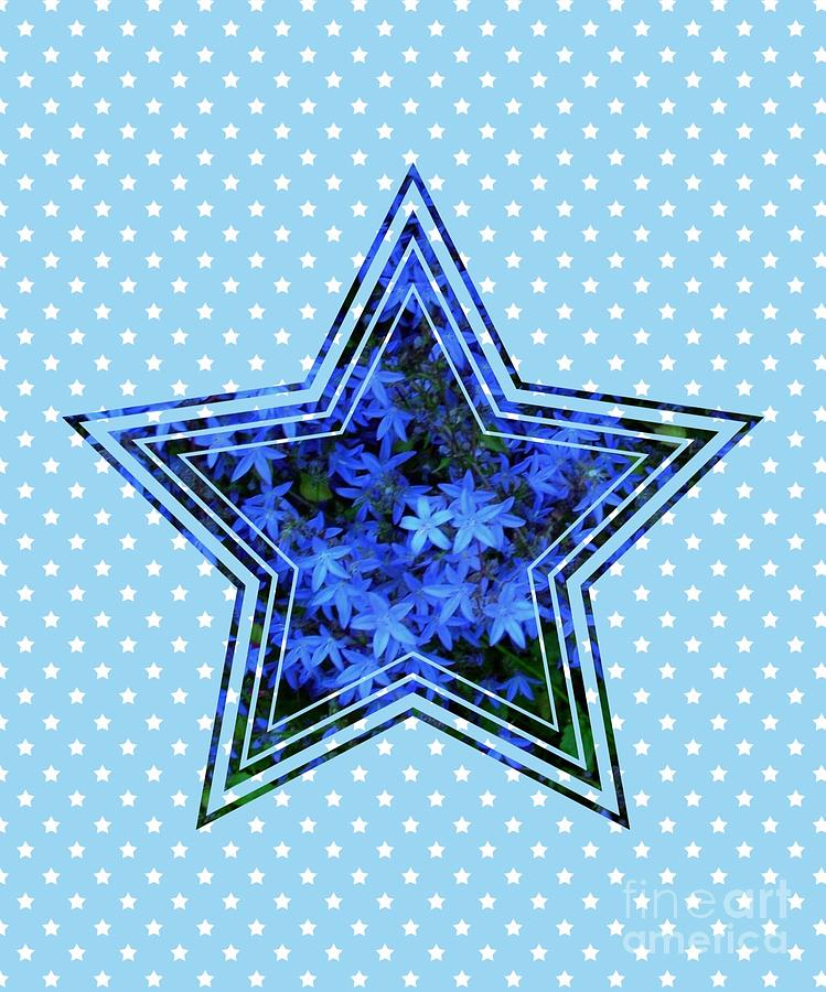 Blue Star Flower Star 2 Photograph by Joan-Violet Stretch