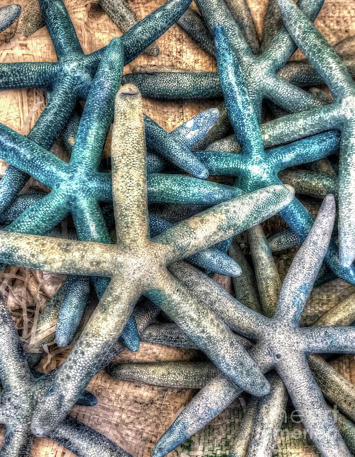 Blue Starfish Photograph by Debbi Granruth
