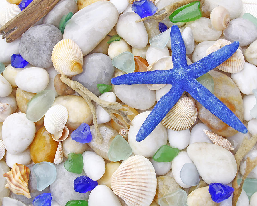 Shell Photograph - Blue Starfish by Kelly S Andrews
