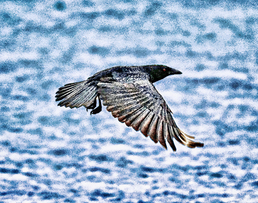 Blue Stone Crow Photograph by Garrett Sheehan