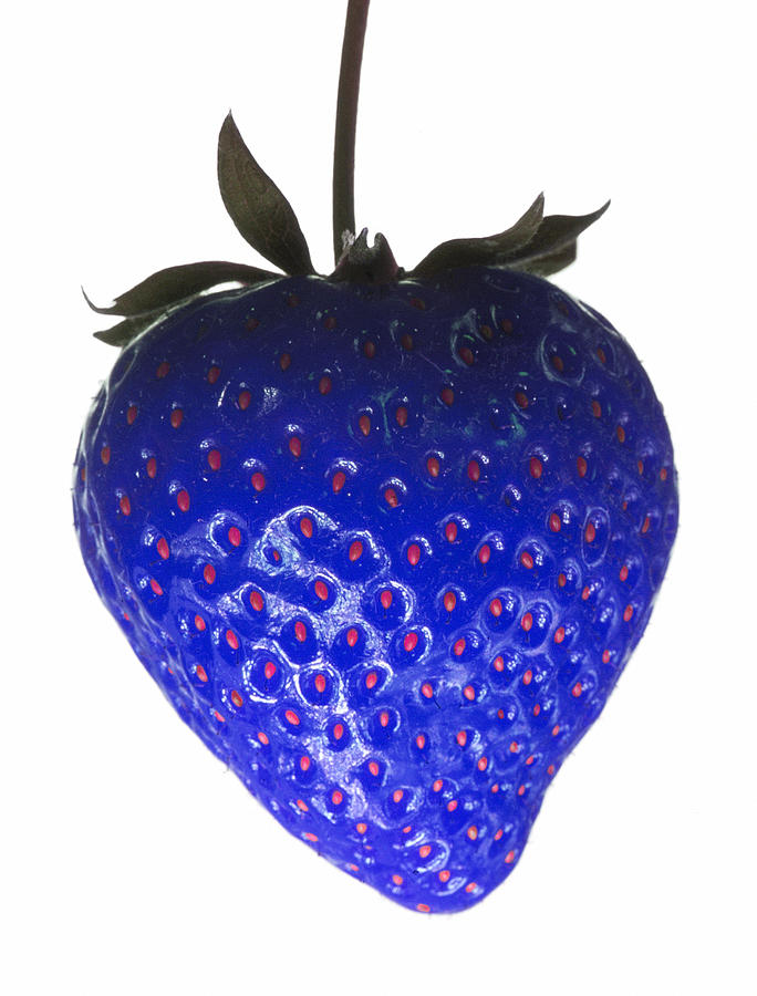 blue strawberry