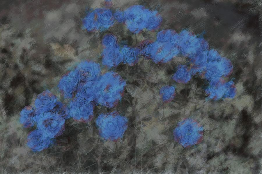 Rose Photograph - Blue Summer Roses by The Art Of Marilyn Ridoutt-Greene