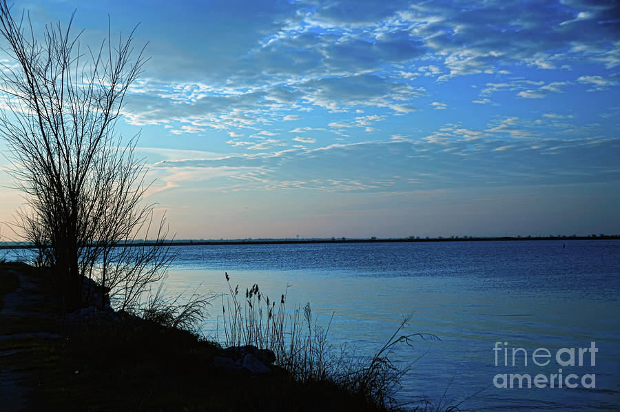 Blue Sunrise at Sea Photograph by Diana Mary Sharpton