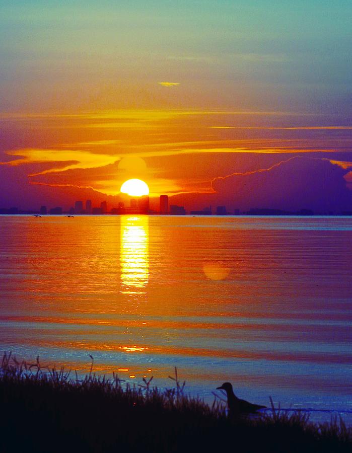 Blue Sunrise Photograph by Stoney Lawrentz