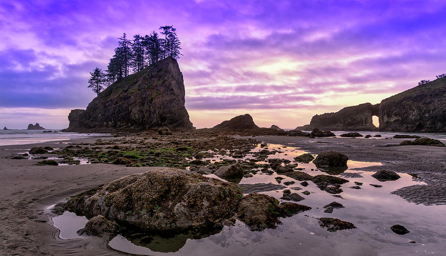 Blue Sunset at Second Beach Photograph by Jerry Fornarotto