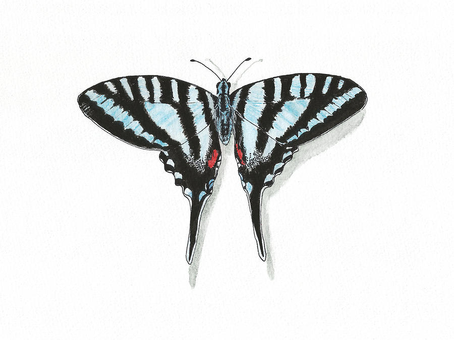 Butterfly Painting - Blue Swallowtail Butterfly by Masha Batkova