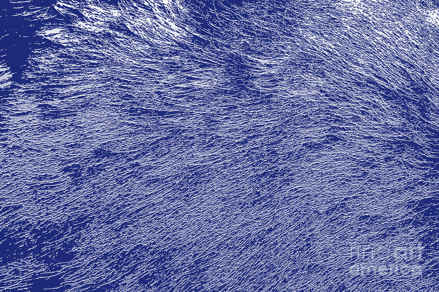 Blue Photograph - Blue by Tabitha Fox Blue Photograph - Blue by Tabitha Fox