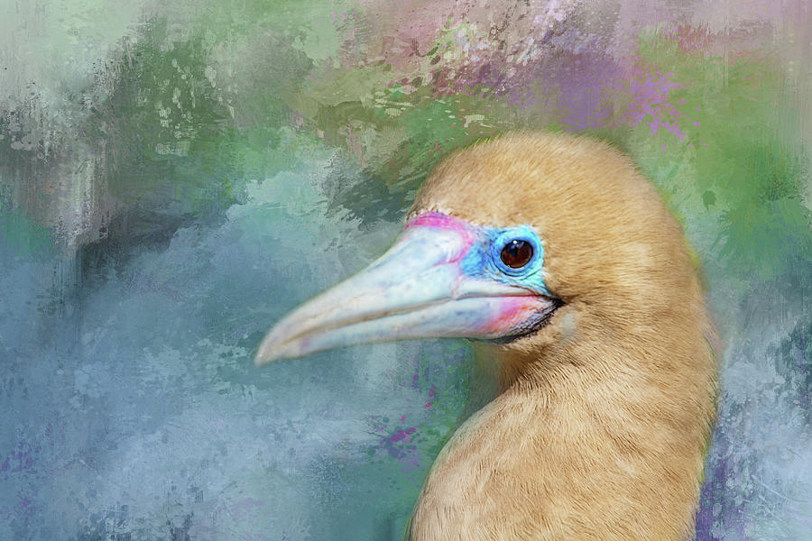 Blue Textured Bird Digital Art by Terry Davis
