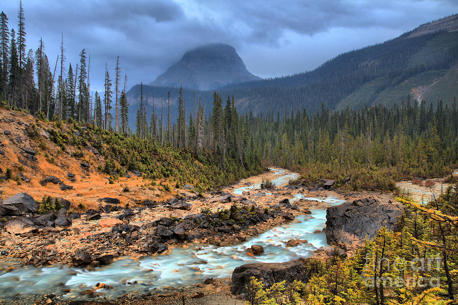 Blue Through The Yoho Valley Photograph by Adam Jewell
