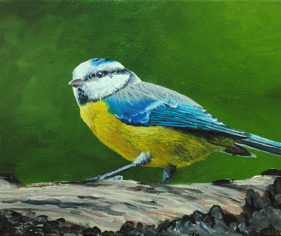 Oil Painting - Blue Tit Bird by Nolan Clark Oil Painting - Blue Tit Bird by Nolan Clark