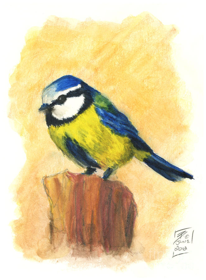 Blue Tit Painting by Brandy Woods