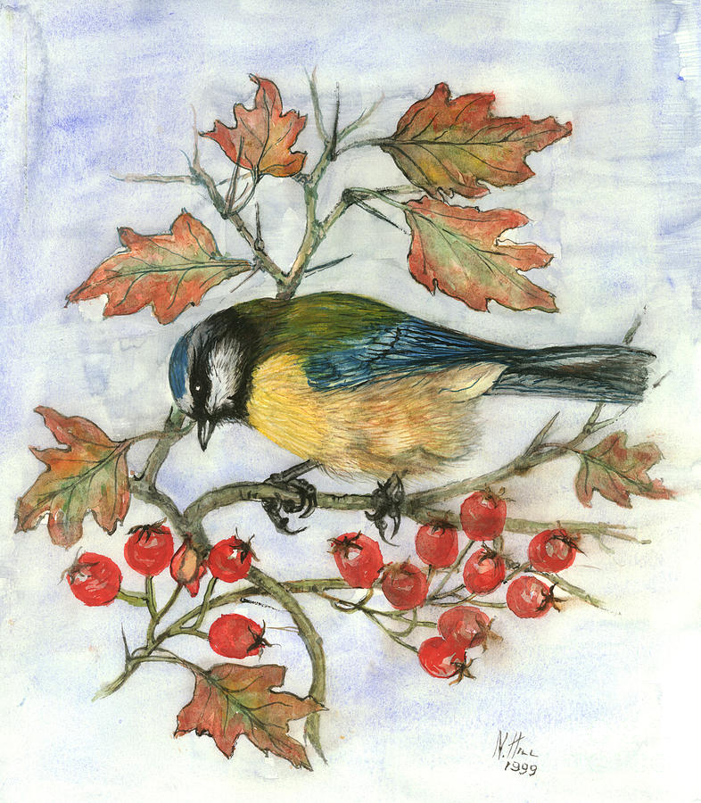 Bird Painting - Blue Tit on Hawthorn by Nell Hill