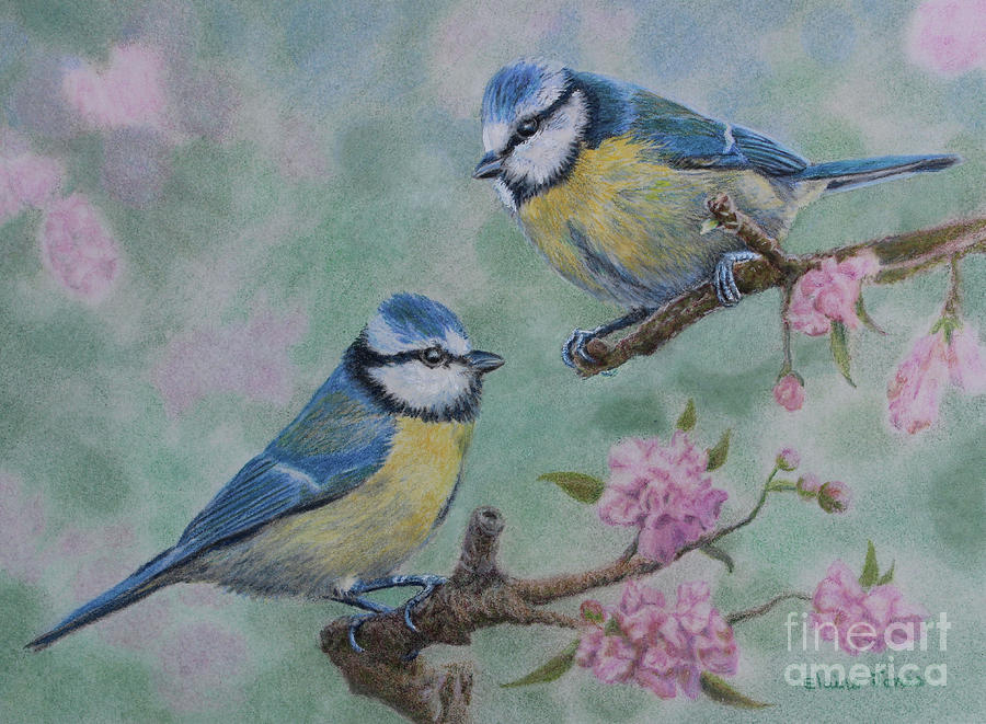Wildlife Painting - Blue Tits and Cherry Blossom by Elaine Jones