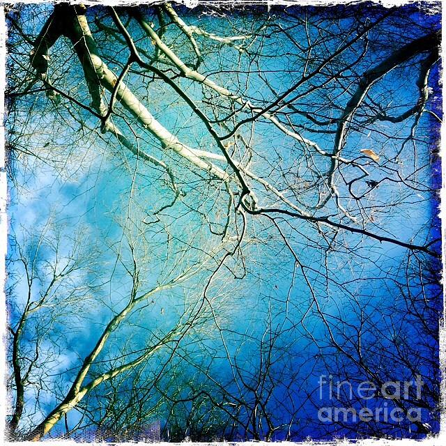 Blue tones  Digital Art by Delona Seserman