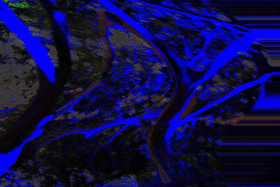 Abstract Photograph - Blue Tree  by Miroslava Jurcik