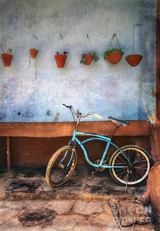 Blue Trinidad Bicycle Photograph by Craig J Satterlee