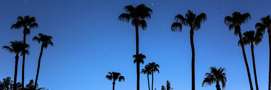 Blue Tropical Night Panorama Photograph