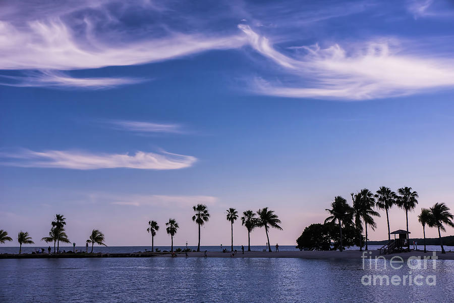 Blue Tropics Photograph by Louise Lindsay