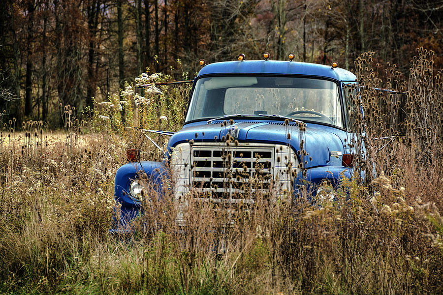 Blue Truck Photograph by Norman Reid