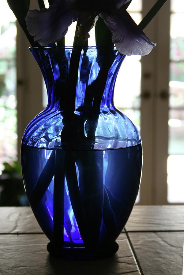 Blue vase Photograph by Marna Edwards Flavell