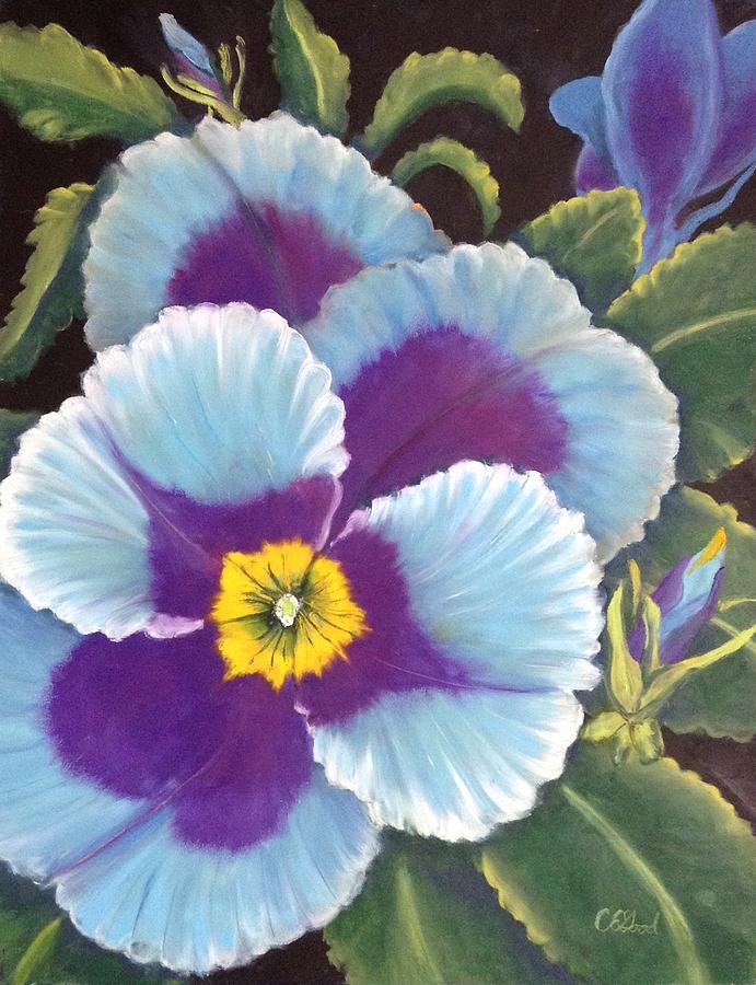Pansies Painting - Blue Velvet by Charlie Good