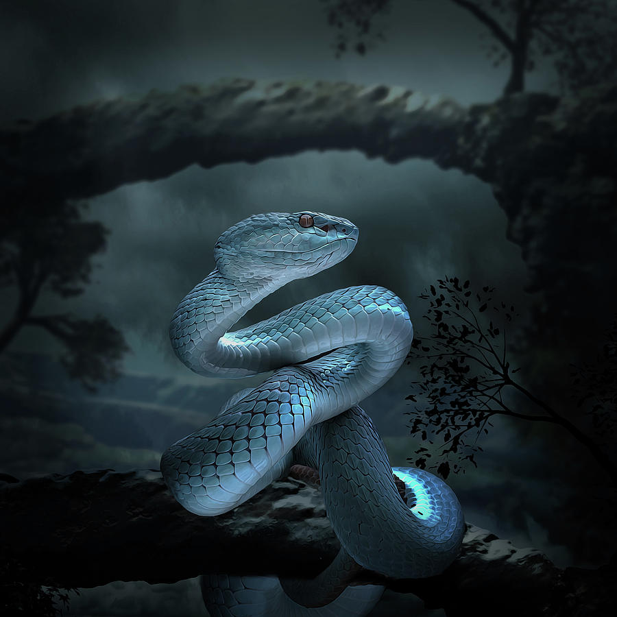 Blue Viper Snake  Digital Art  Digital Art  by Creativemotions