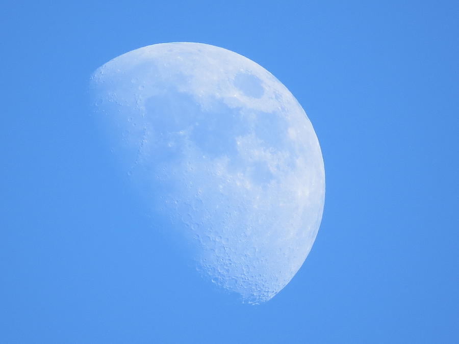 Blue Waning Gibbous Moon Photograph by Wanderbird Photographi LLC