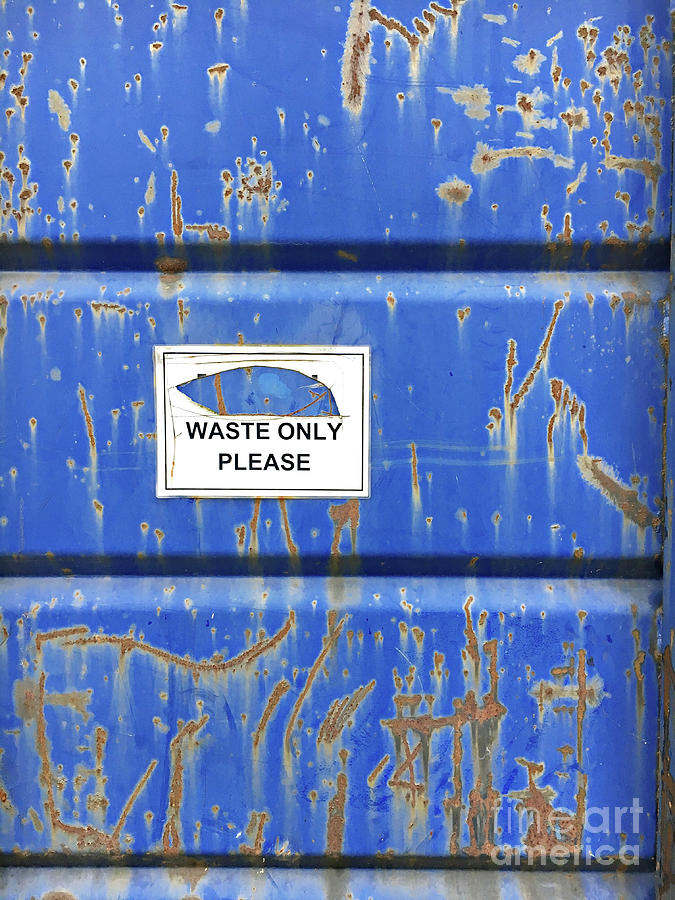 Blue waste bin Photograph by Tom Gowanlock