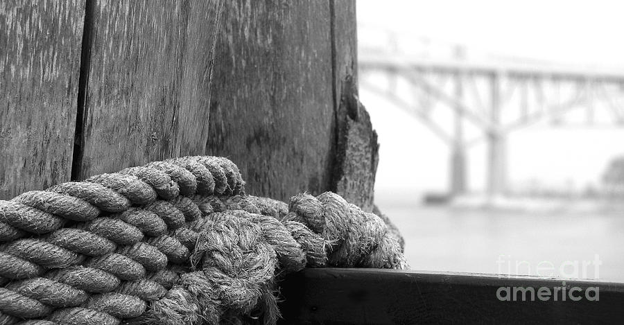 Blue Water Bridge Knot Photograph by Scott Heister