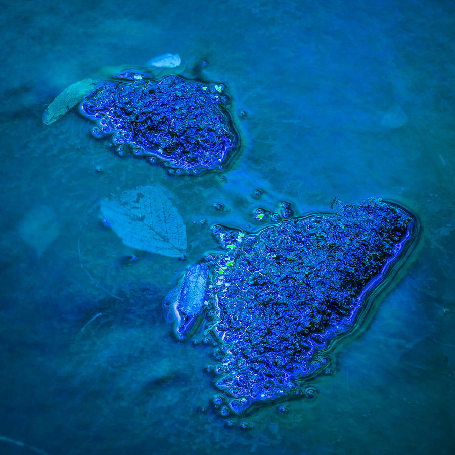 Blue water Photograph by Elmer Jensen