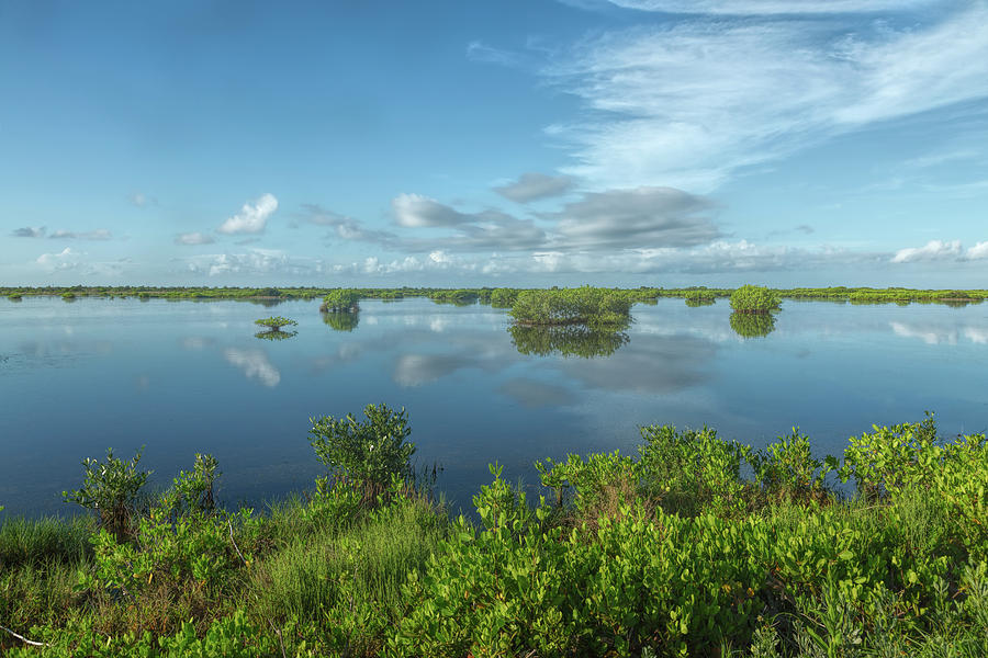 Blue Wetlands Photograph by John M Bailey