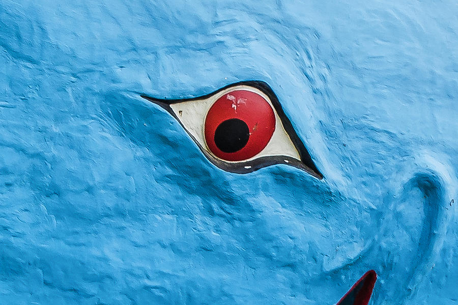 Blue Whale Eye Larger Route 66 Photograph by Bert Peake