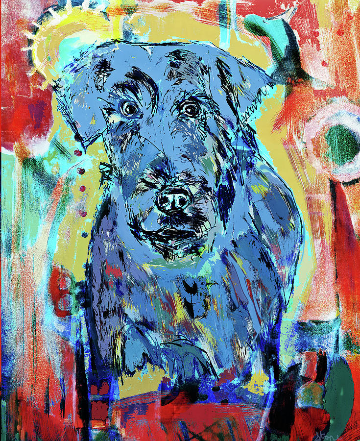 Blue Wheaten Terrier Digital Art by Susan Stone