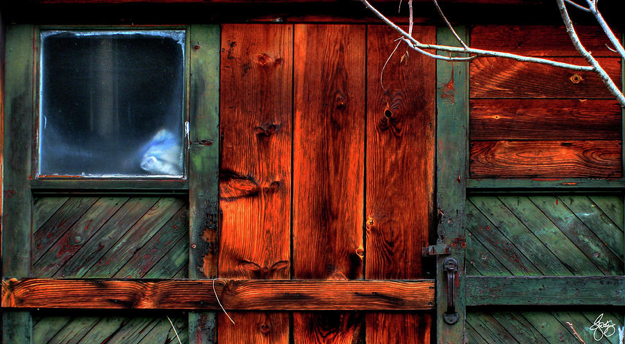 Blue Window on a Weathered Door Photograph by Wayne King