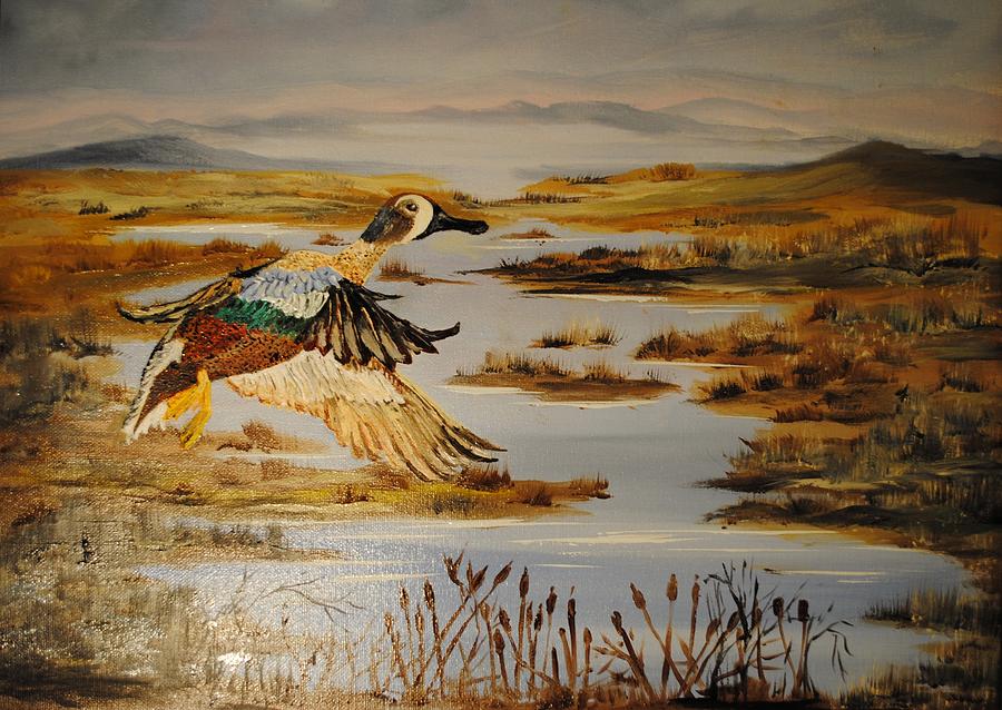 Duck Painting - Blue Winged Teal by James Higgins