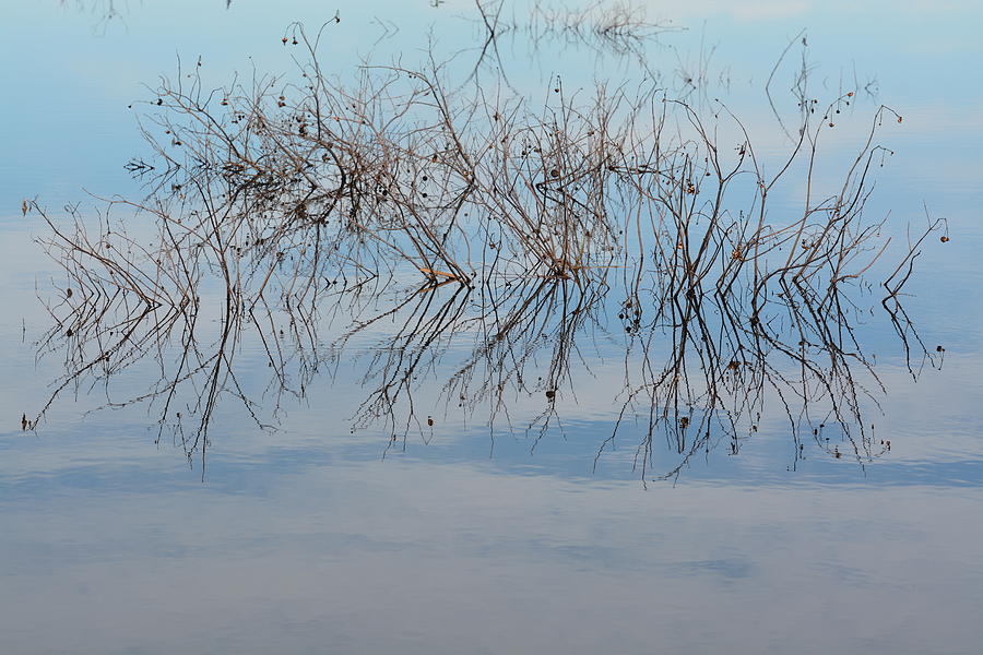 Blue Winter Abstract 2015 Photograph by Maria Urso