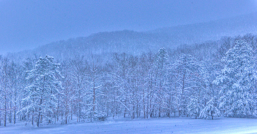 Blue Winter Photograph by Jonny D