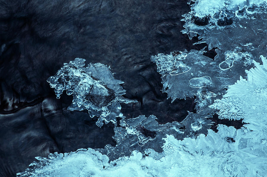 Blue Winter Masterpiece. Frozen Nature Photograph by Jenny Rainbow